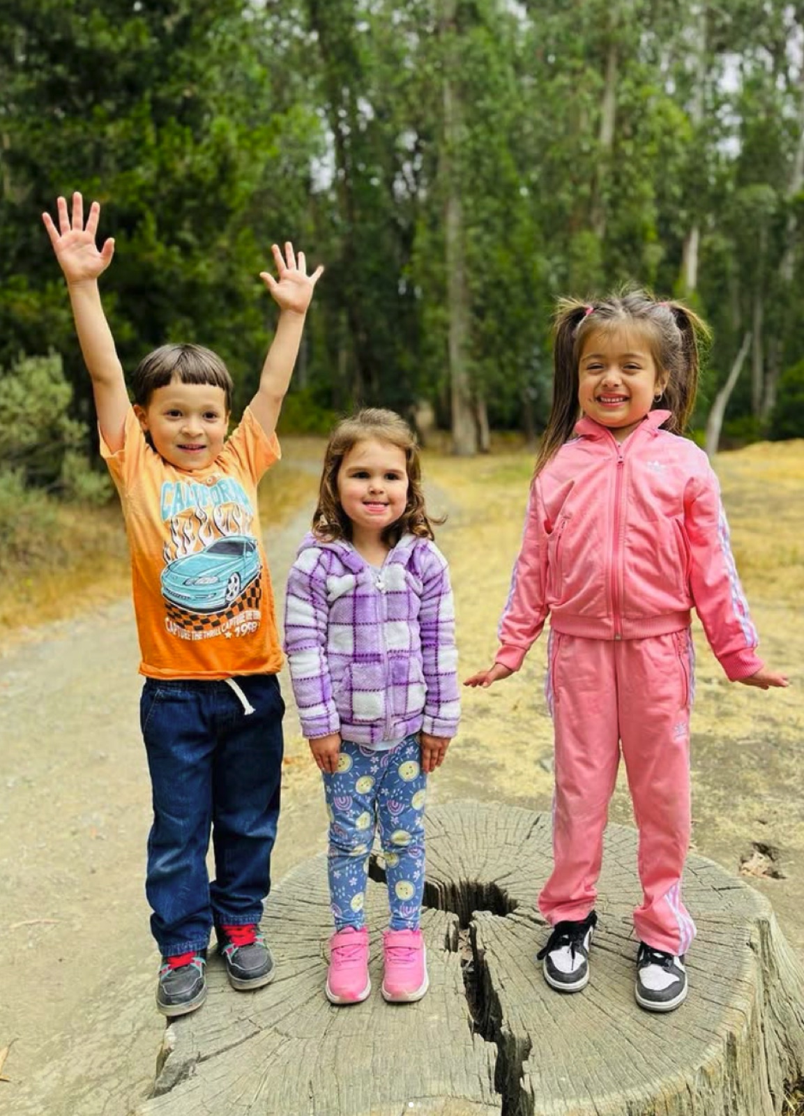Explorers conquer a tree stump on our Tilden Regional Park field trip