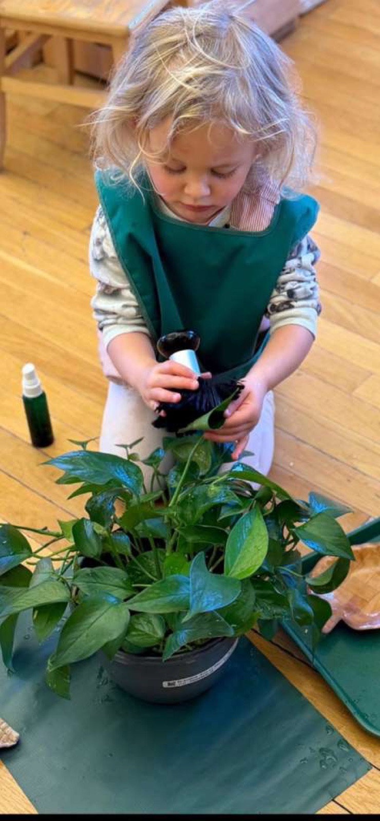 A toddler in a green apron tends a leafy potted plant