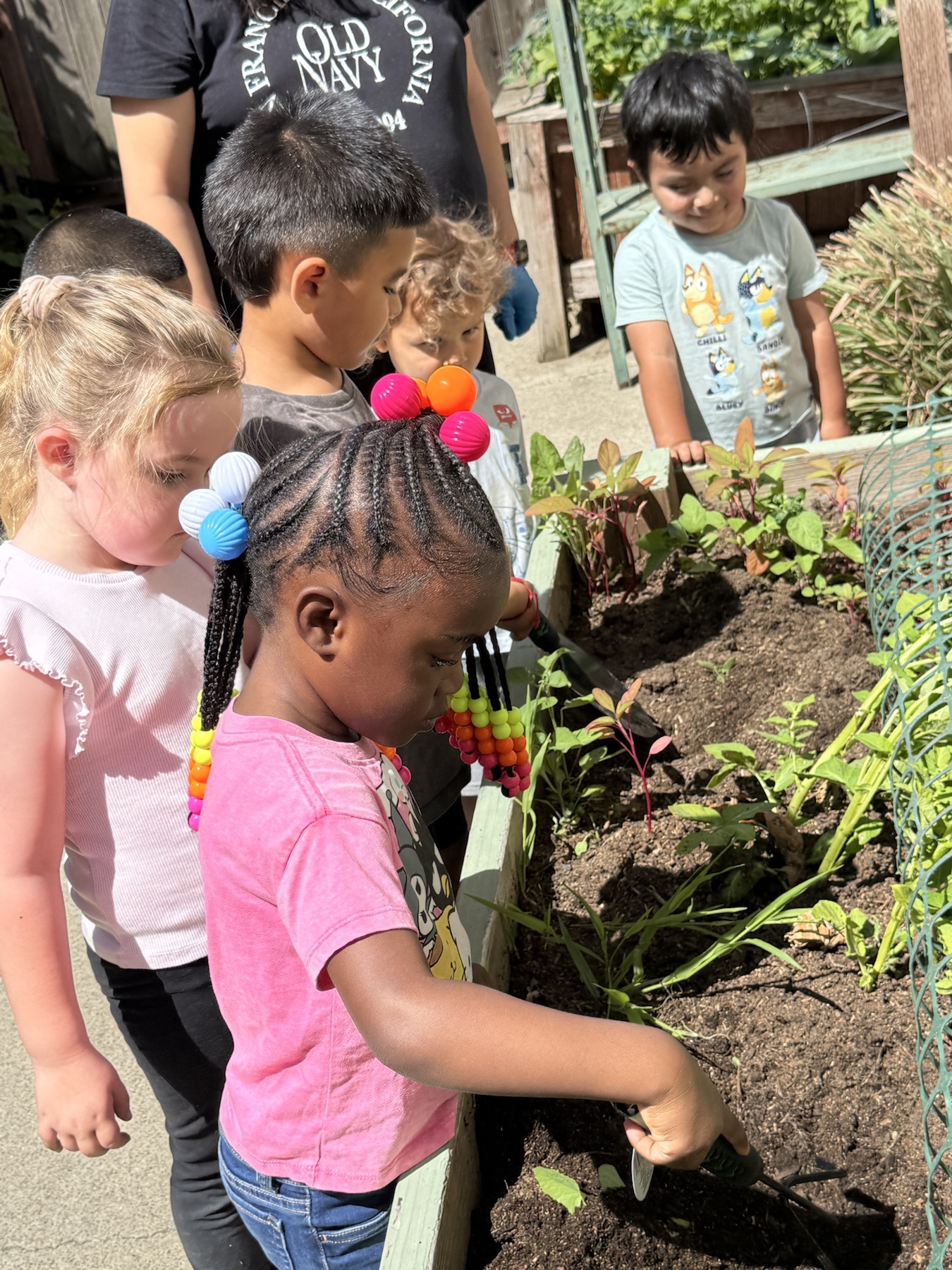 Children digging with trowels in the school's sunlit raised garden beds